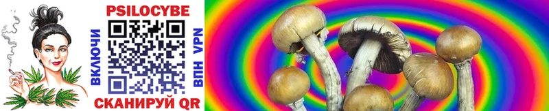 Купить  Инсар  Галлюциногенные грибы GOLDEN TEACHER 